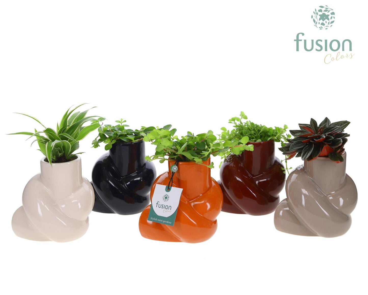 Keramiek knooppot met Groen planten mix 20cm 12cm Pot