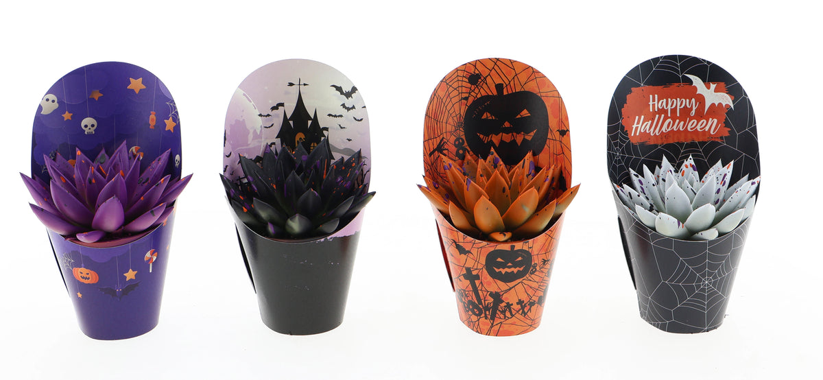 Potcover halloween rainbow sprinkle mix 10cm 8.5cm Pot