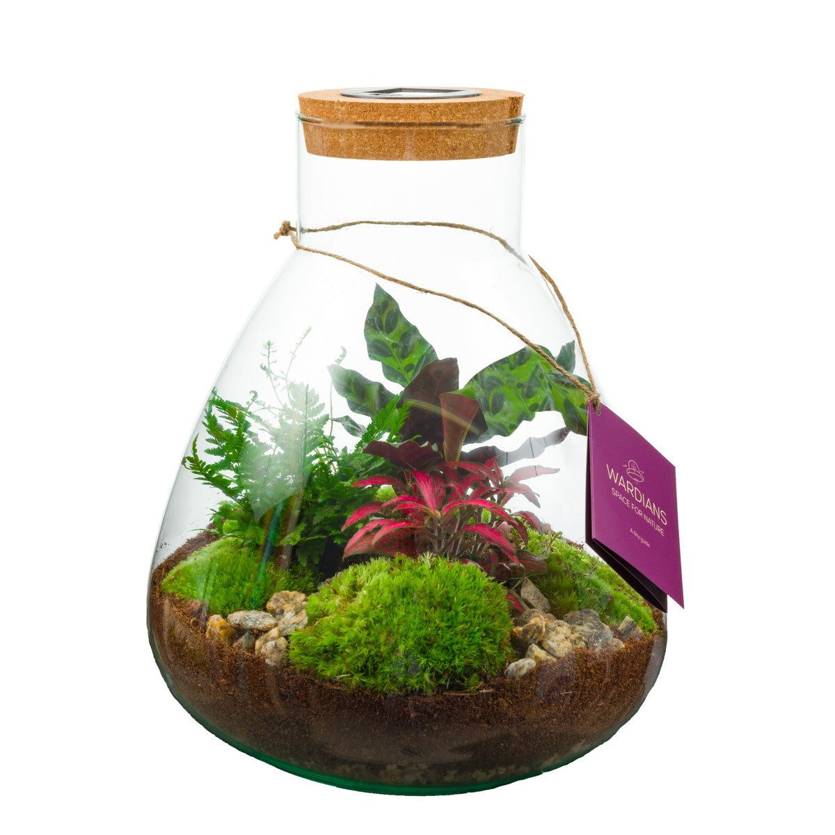 Wardians Terrarium - Erlenmeyer large + LED (solar panel) 30cm 26cm Pot