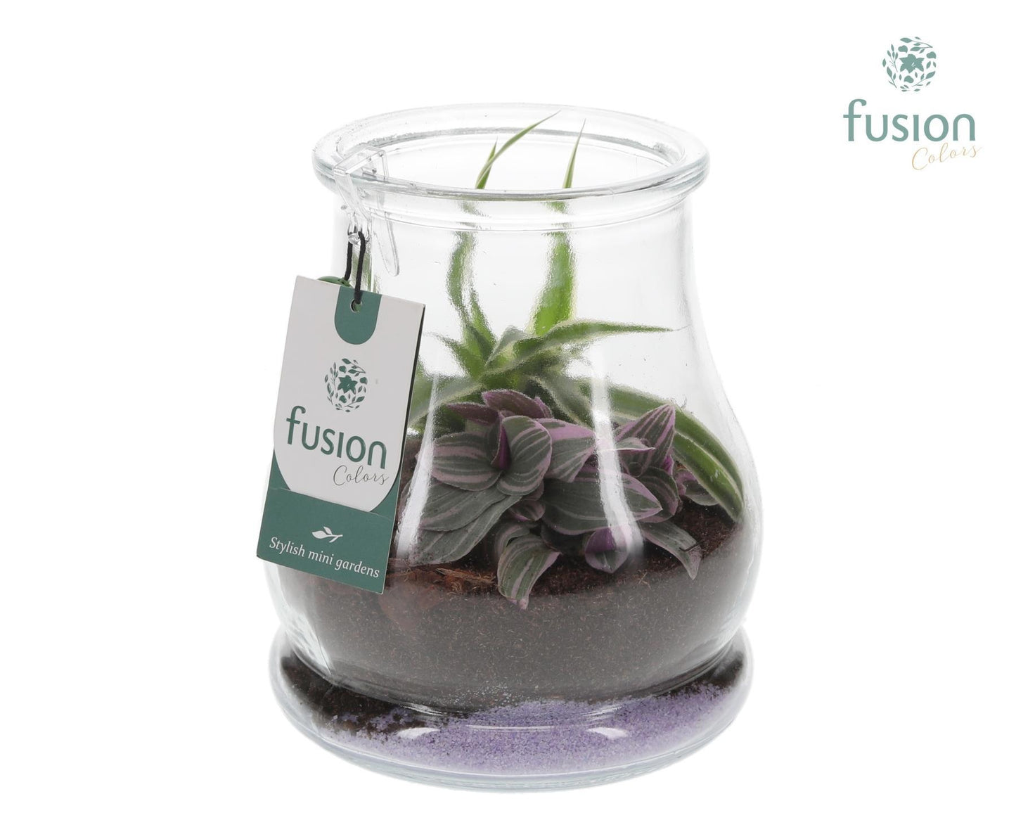 Fusioncolors BV Glas Druppel met Arrangement Pack of 6