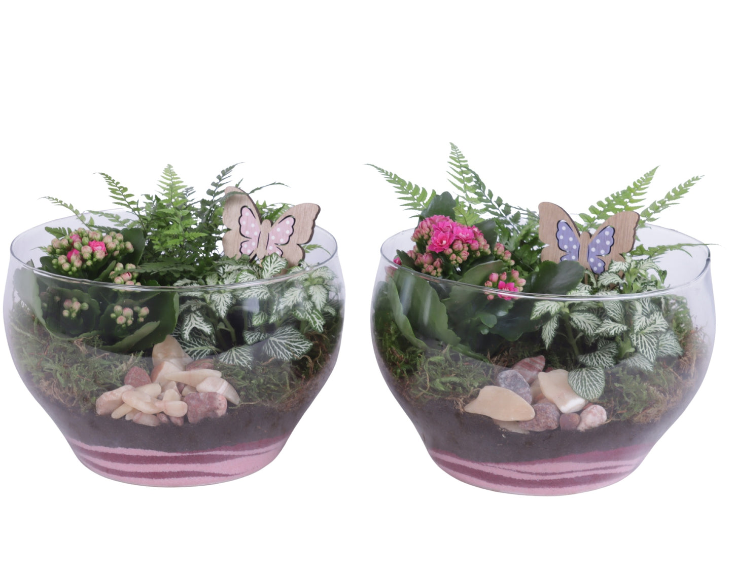 Indoor arrangement 25cm 25cm Pot