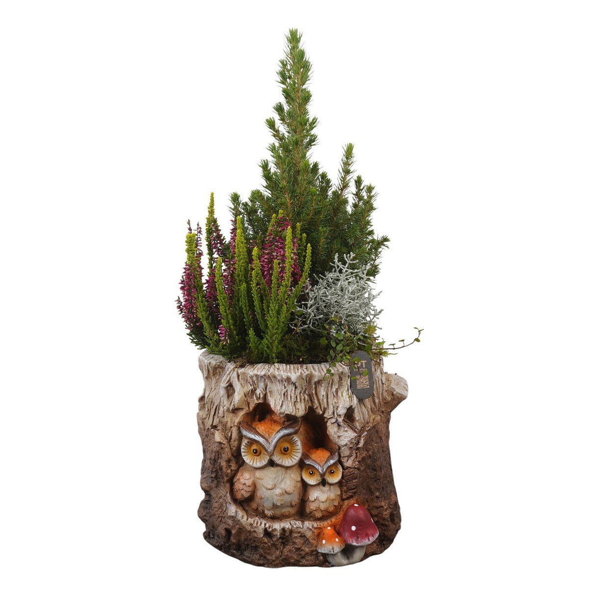 Outdoor arrangement 55cm 23cm Pot