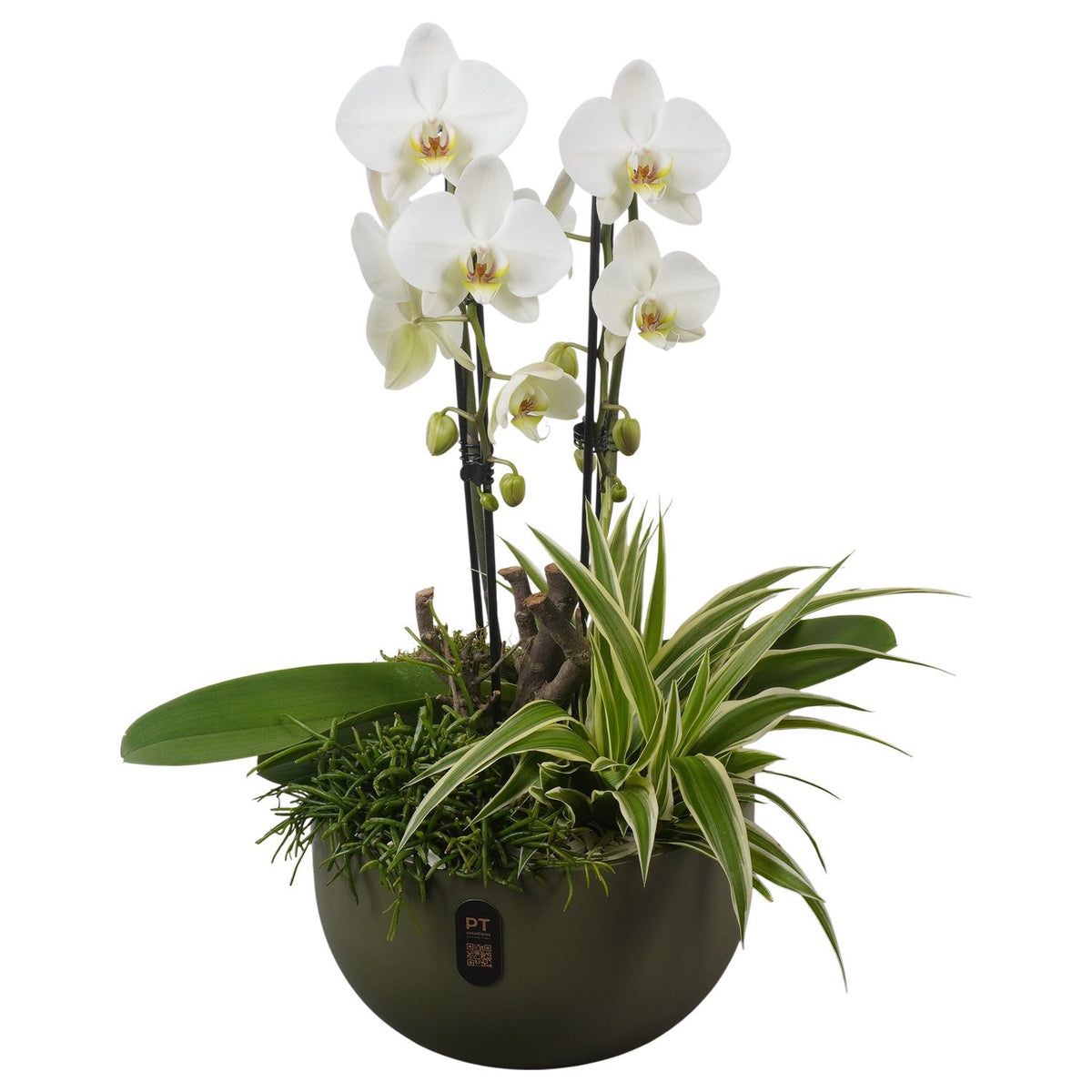 Indoor arrangement 57cm 26cm Pot