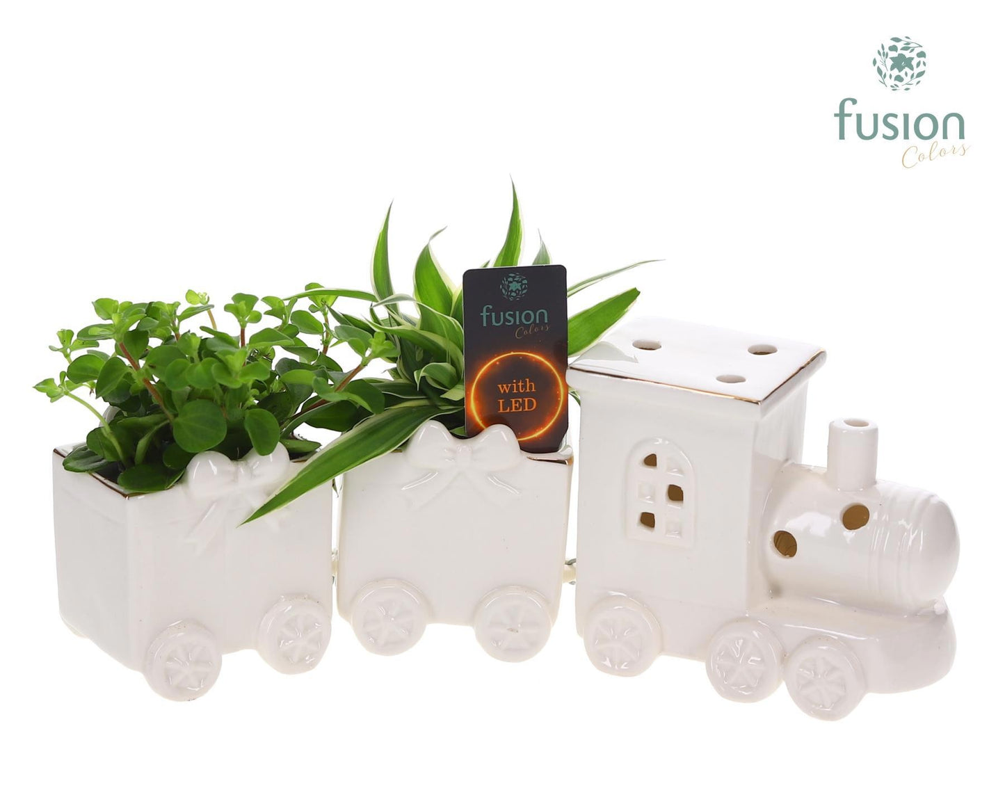 Fusioncolors BV Keramiek LED Trein Medium met Groenen planten Pack of 3