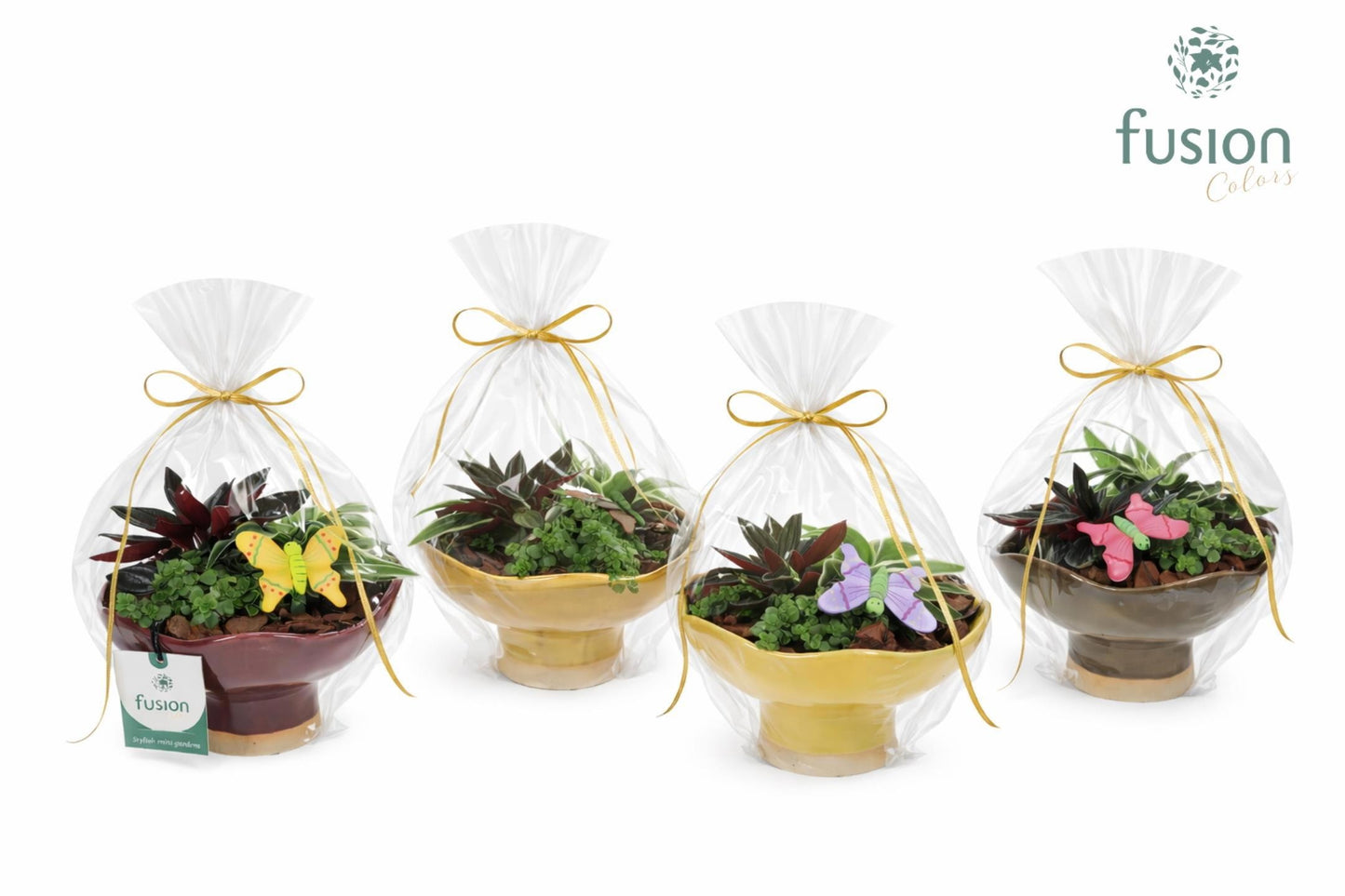 Fusioncolors BV Keramiek schaal op voet Medium met Voorjaar arrangement in klaphoes Pack of 5