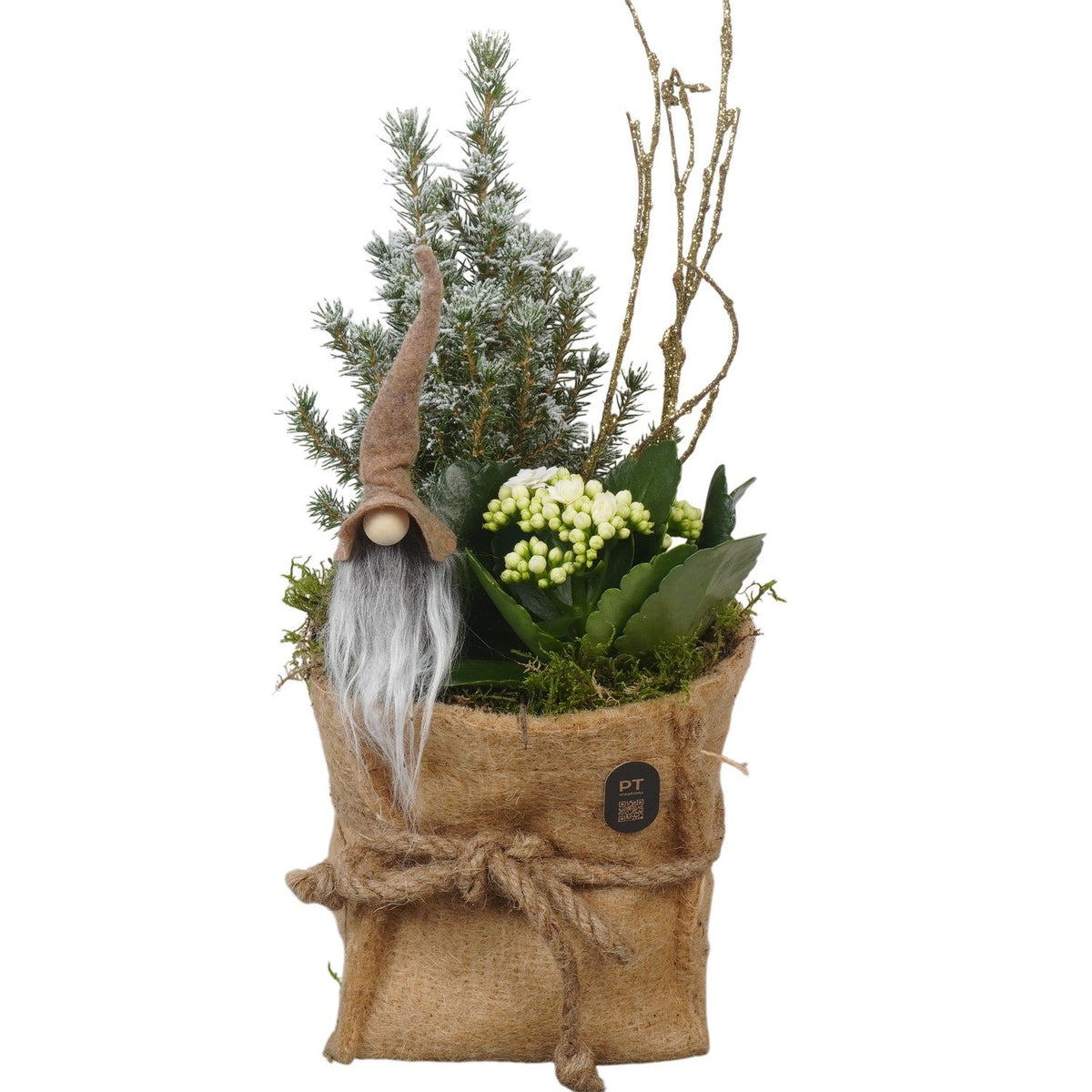 Christmas arrangement 41cm 14cm Pot
