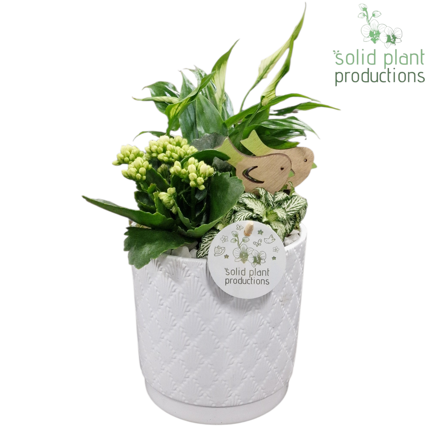 SP001 Amy White 35cm 13cm Pot