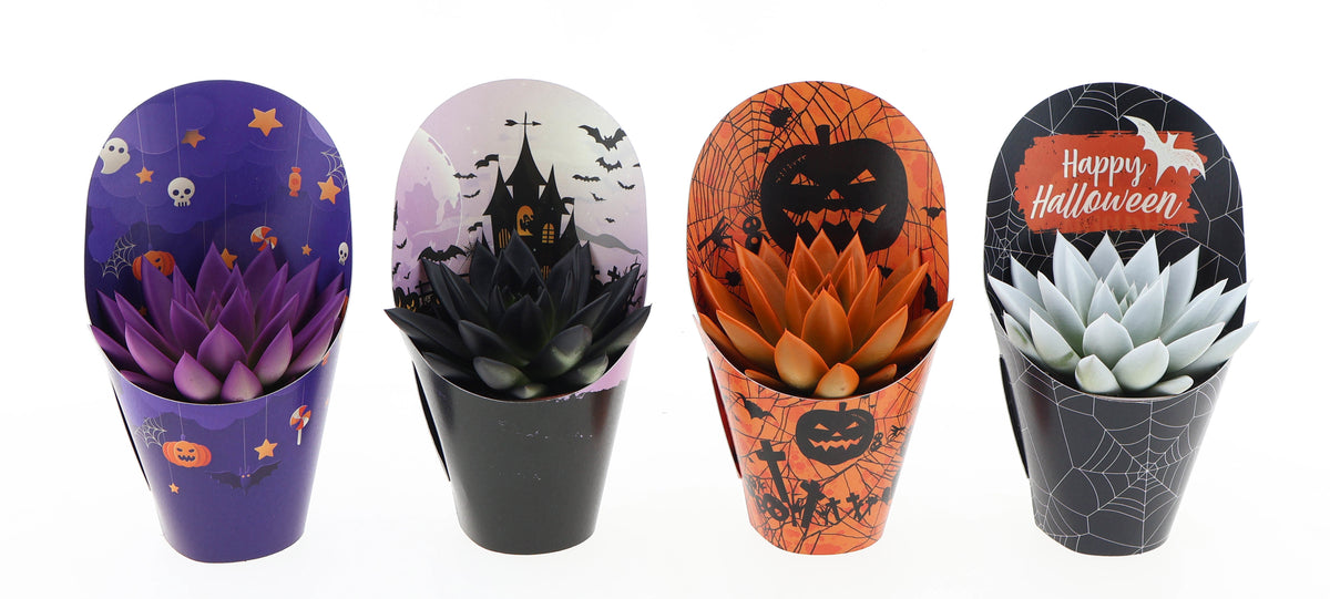 Potcover halloween rainbow mix 10cm 8.5cm Pot