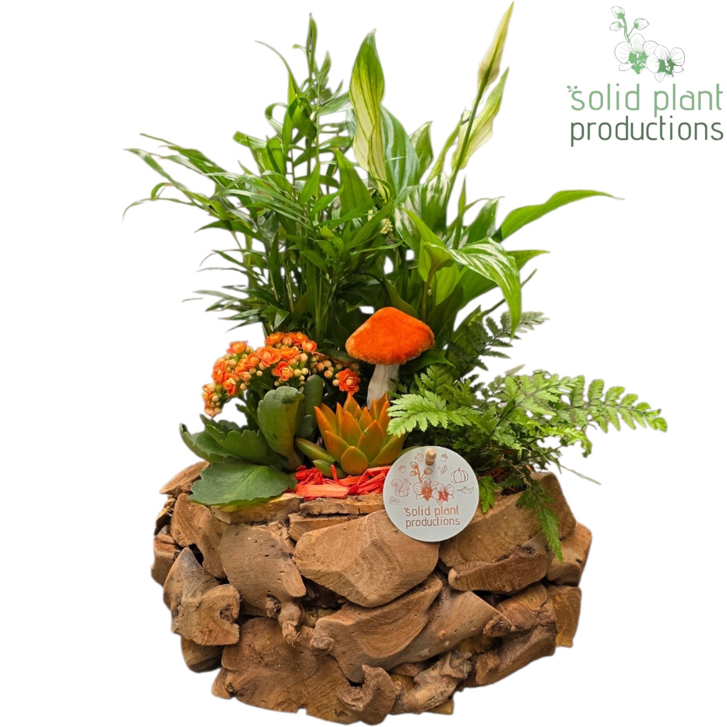 Solid Plant Productions SCE013 Driftwood Round Orange Autumn Pack of 1