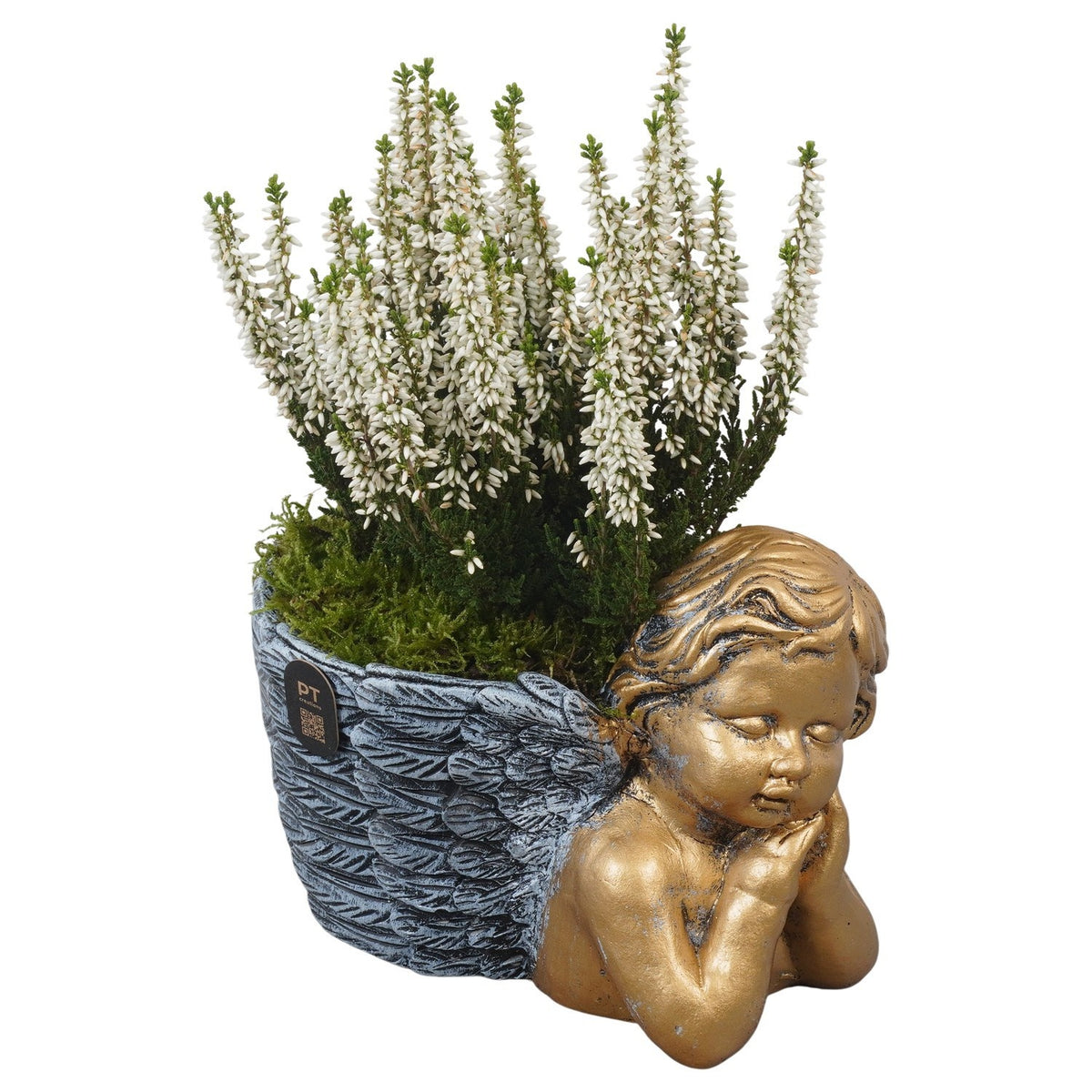 arr. all saints day 25cm 19cm Pot