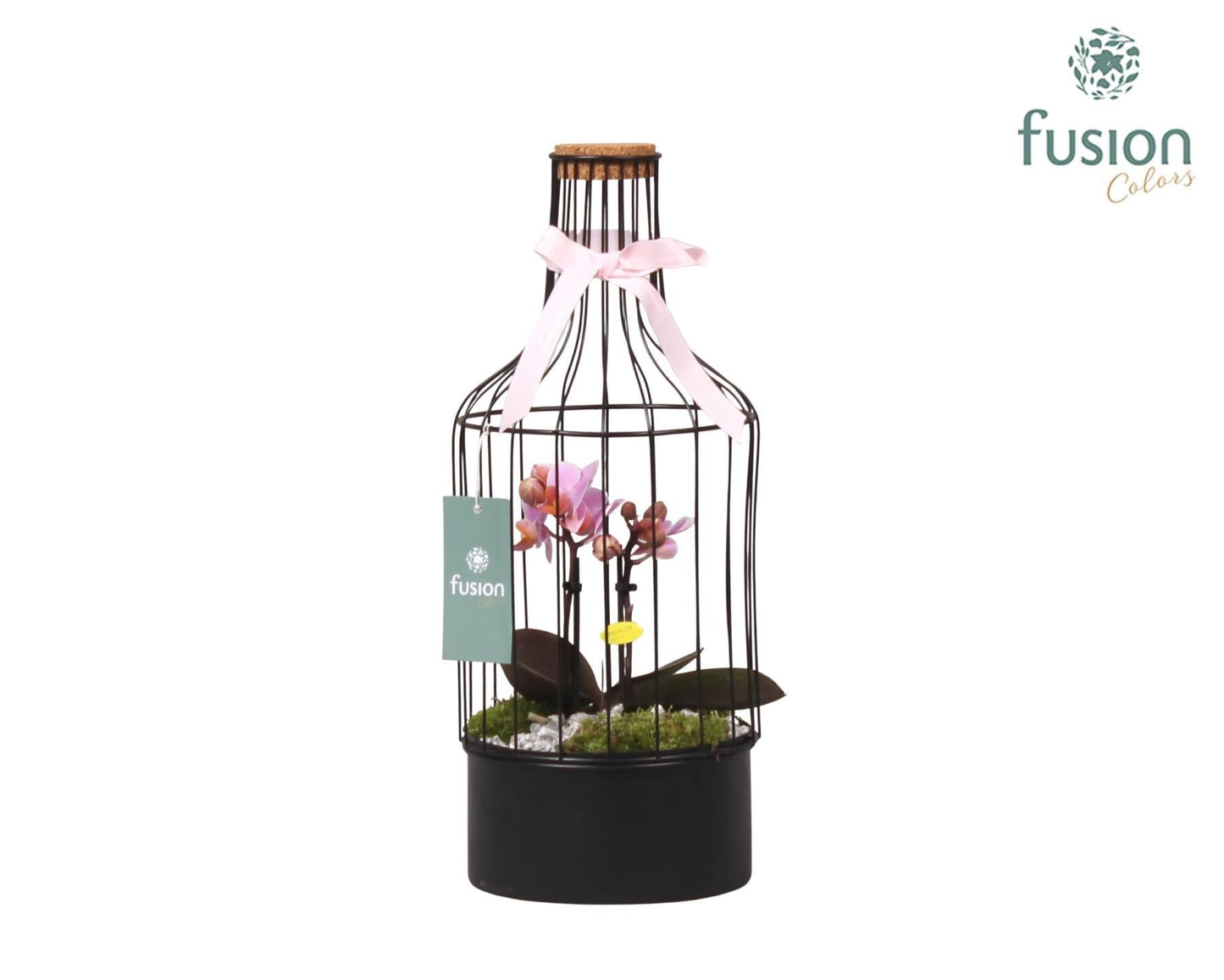 Fusioncolors BV Metalen fles met kurk zwart middel met Phalaenopsis Pack of 5