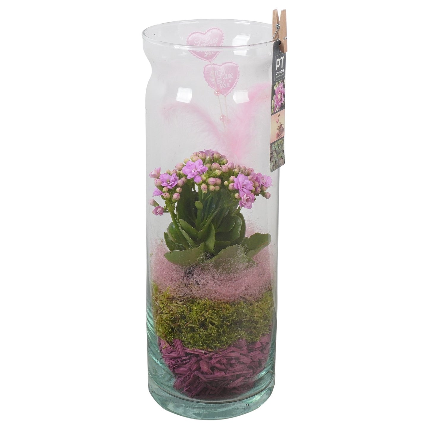 Indoor arrangement 38cm 12cm Pot