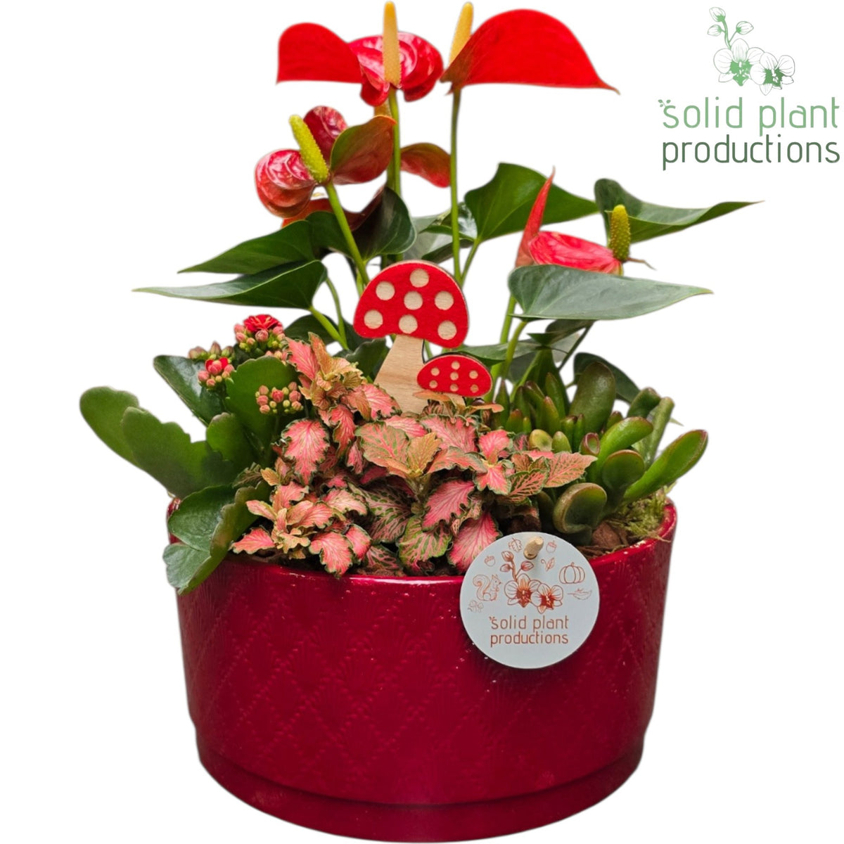 AT004 Stella Red 42cm 22cm Pot