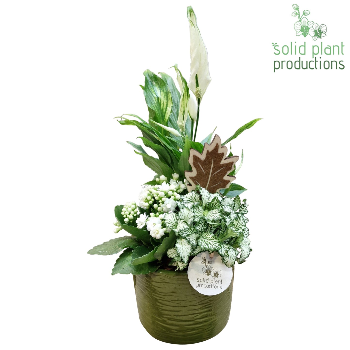 SP001 Amy Green White 35cm 13cm Pot