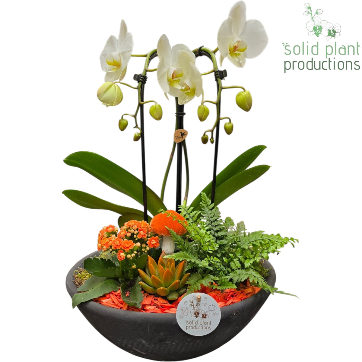 PE012 Ebbi Orange Deluxe Autumn 55cm 32cm Pot