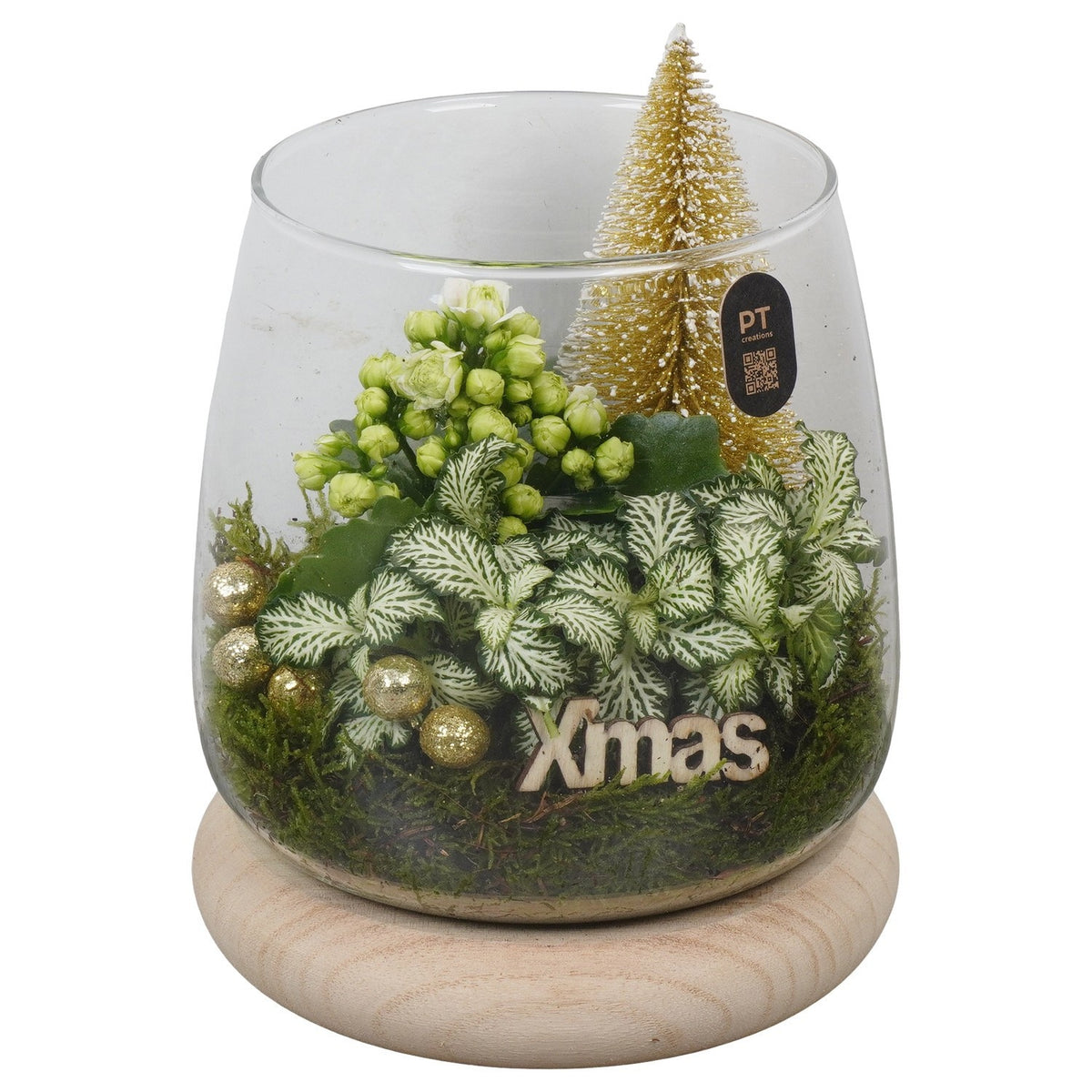 Christmas arrangement 20cm 16cm Pot