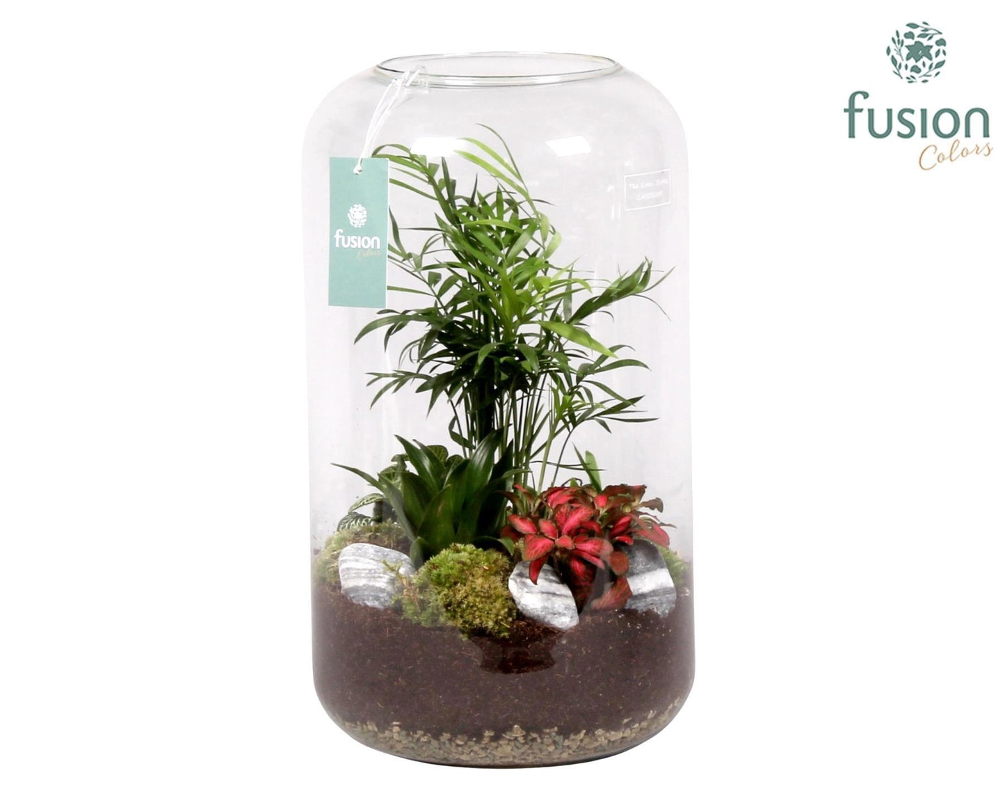 Green Bottle Isabella XXLarge met Groene Planten Arrangement 43cm 23cm Pot