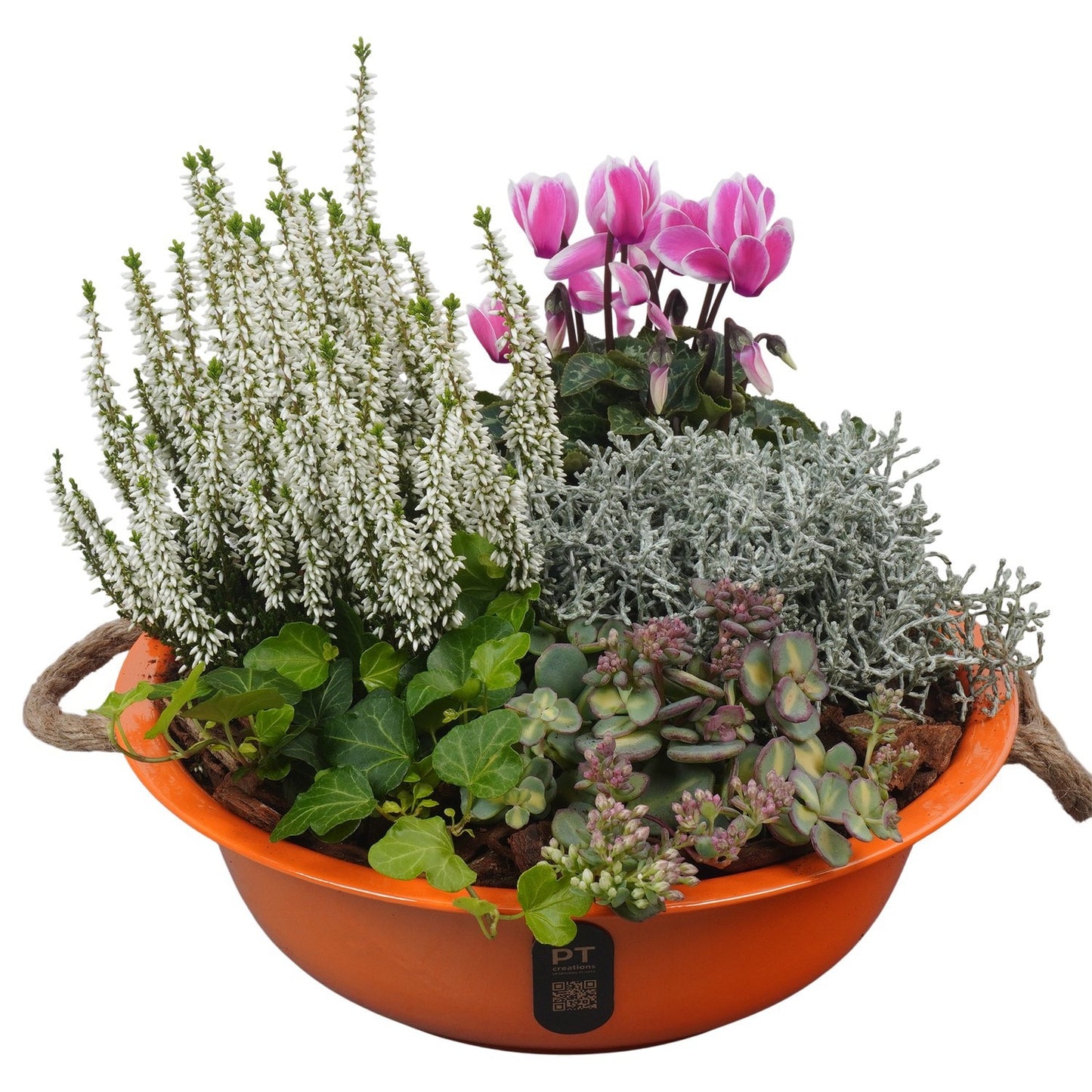 Outdoor arrangement 27cm 29cm Pot