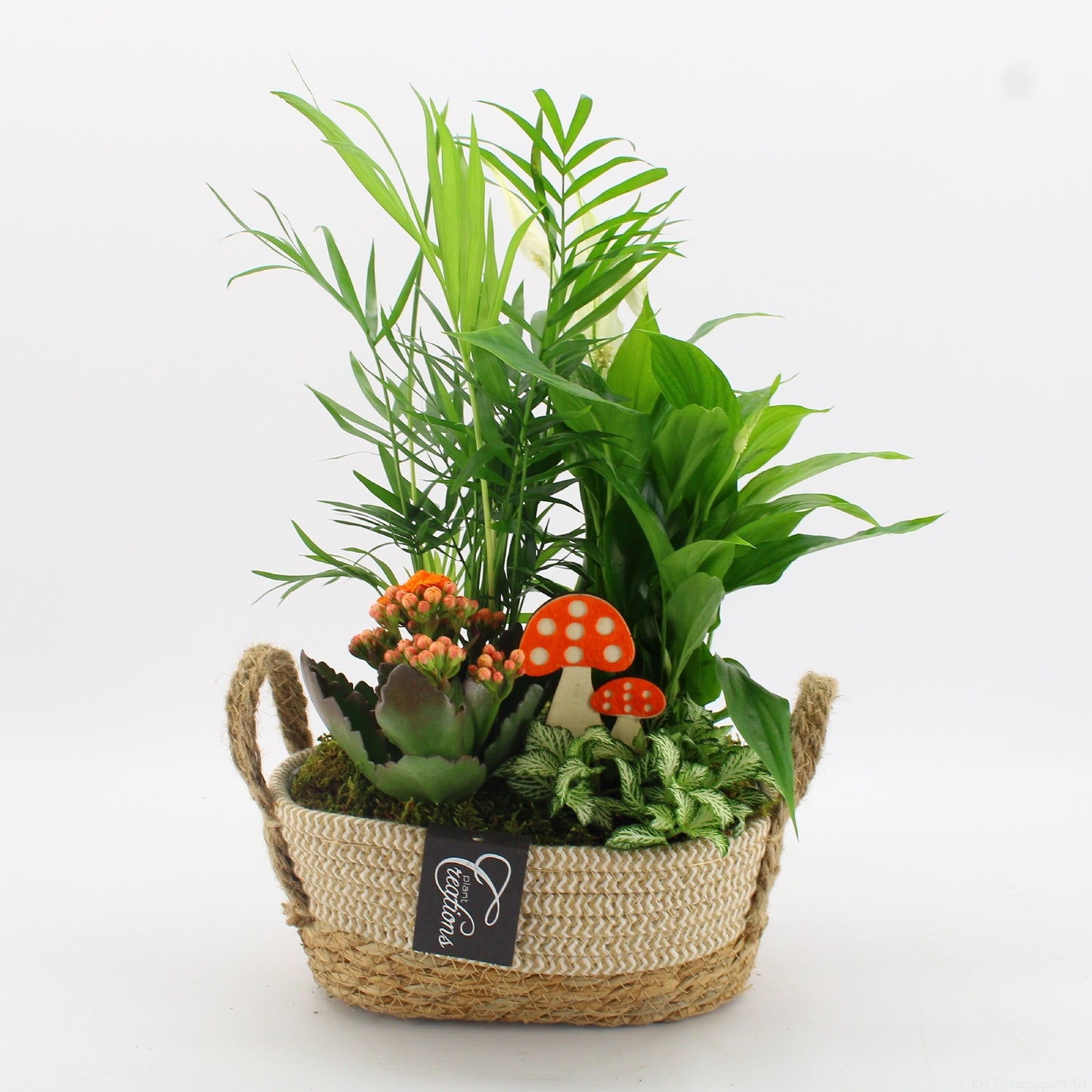 BHCR-2619 Autumn Fundamentals 35cm 24cm Pot