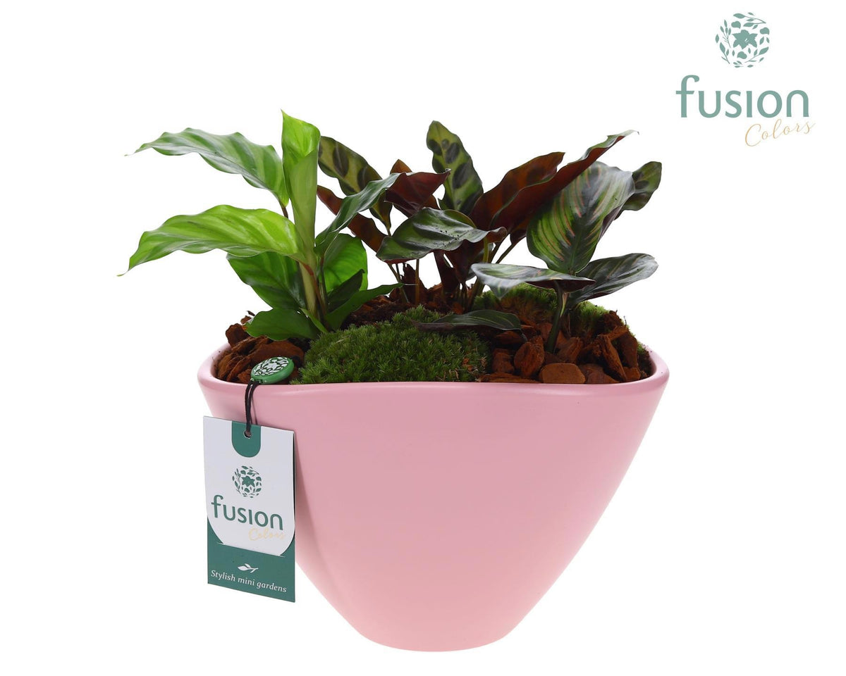 Pot keramiek ovaal Large met arrangement 25cm 23cm Pot