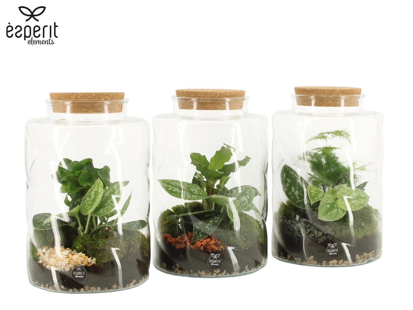 Esperit Elements Vof arr. Terrarium Pack of 3