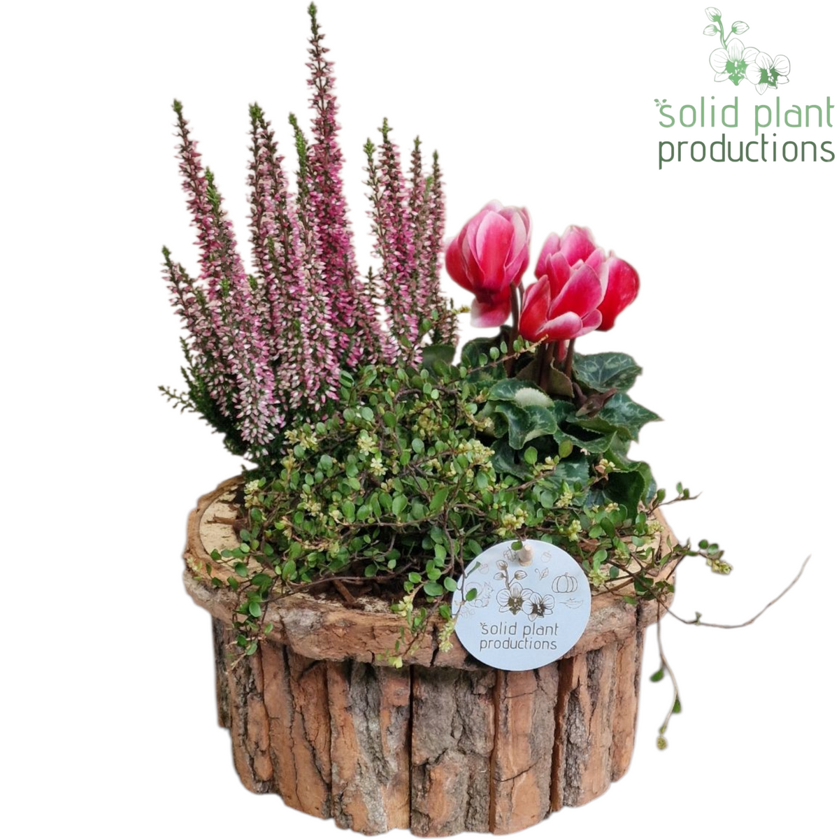 BSM002 Bark S Medium Brown 40cm 22cm Pot