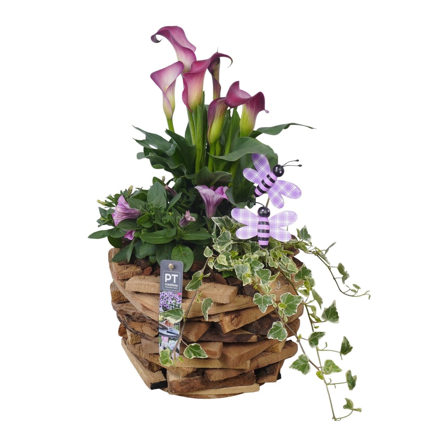 arr. PM196 42cm 25cm Pot