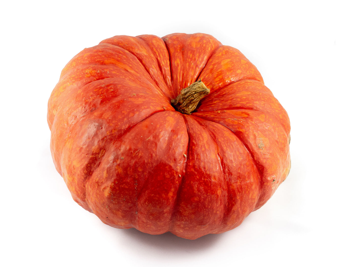 Krol Pompoenen Cucurbita Rode van Etampes Pack of 1