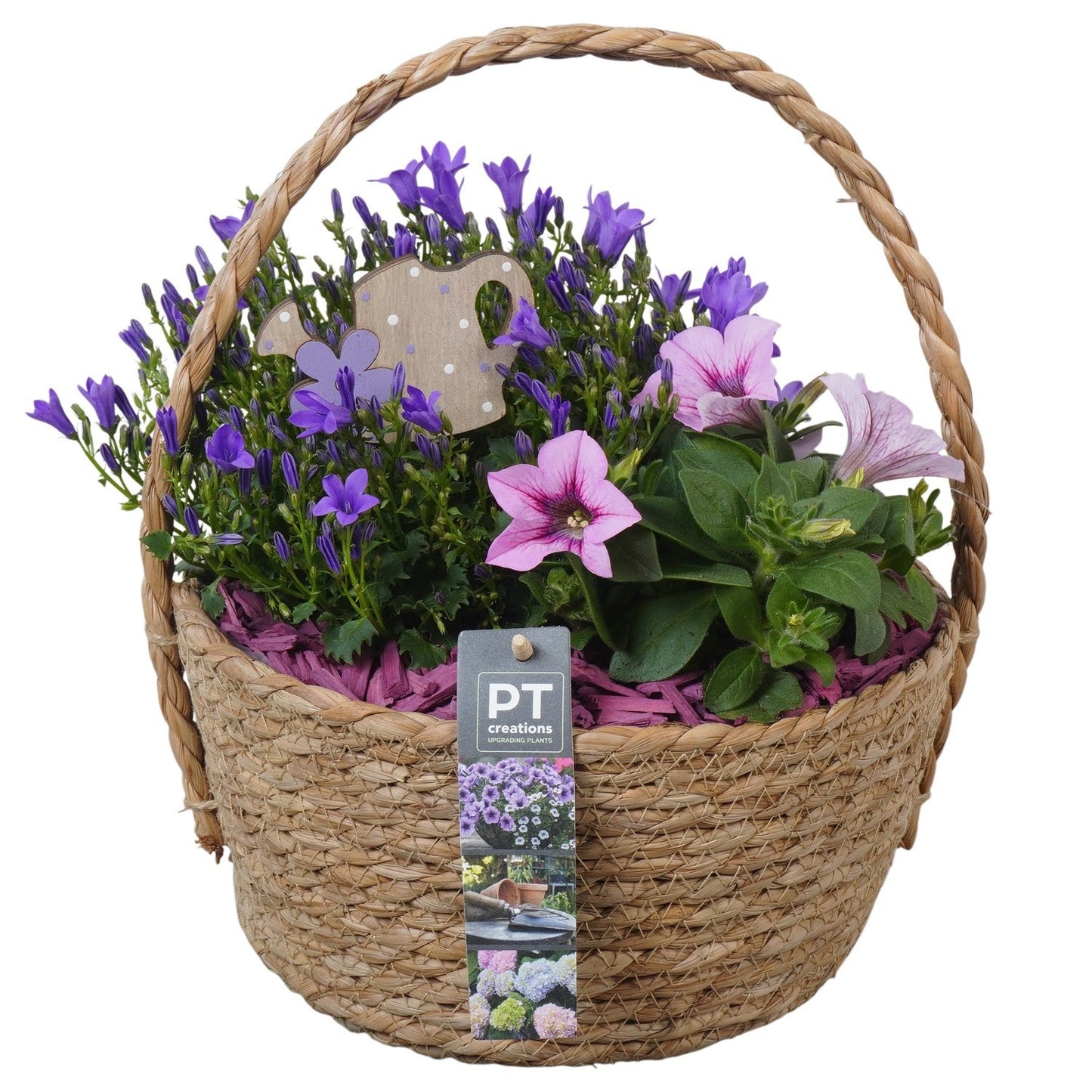 arr. PM196 30cm 23cm Pot