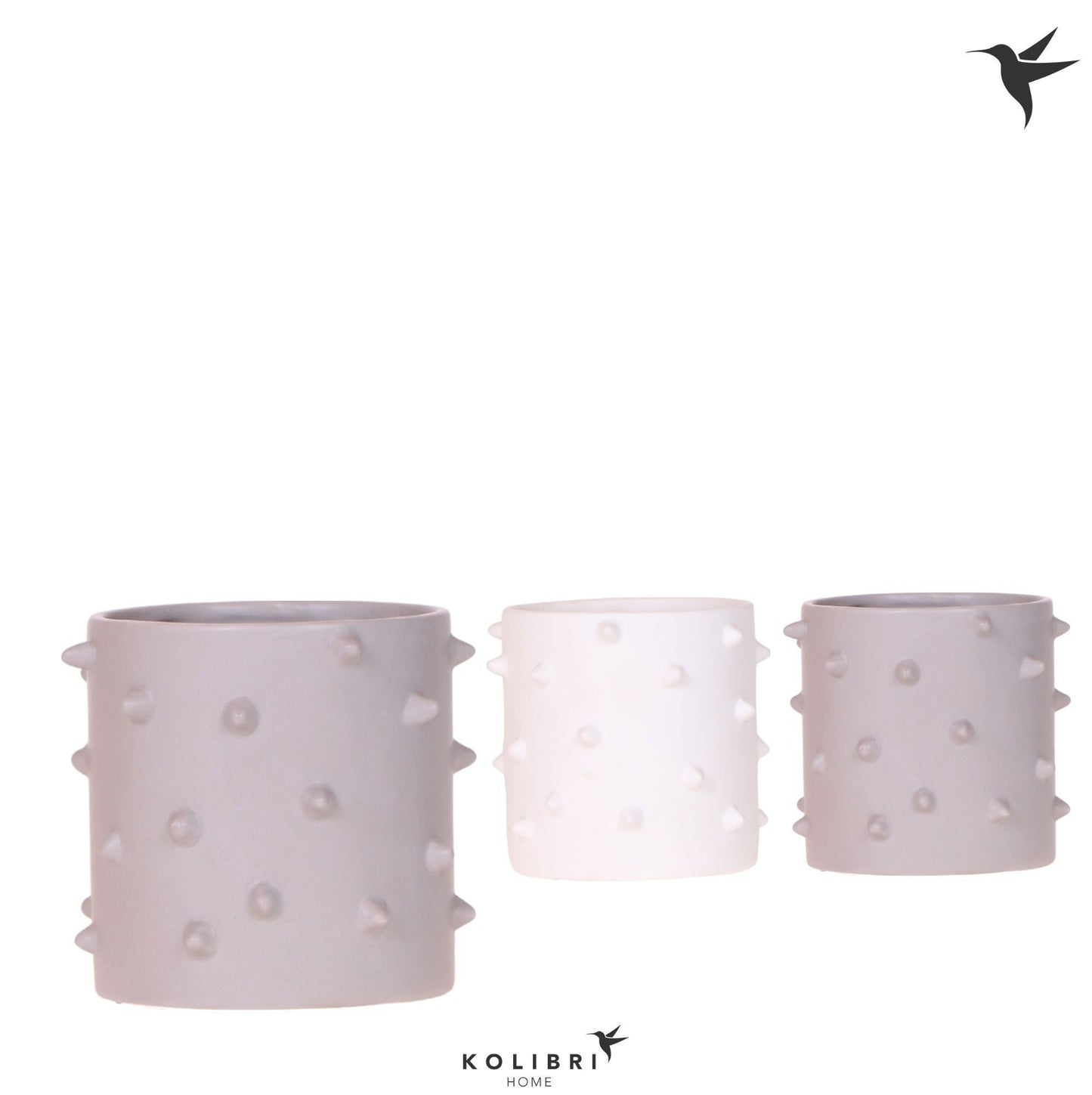 OK Plant Kolibri Home Spike pot mix Pack of 6