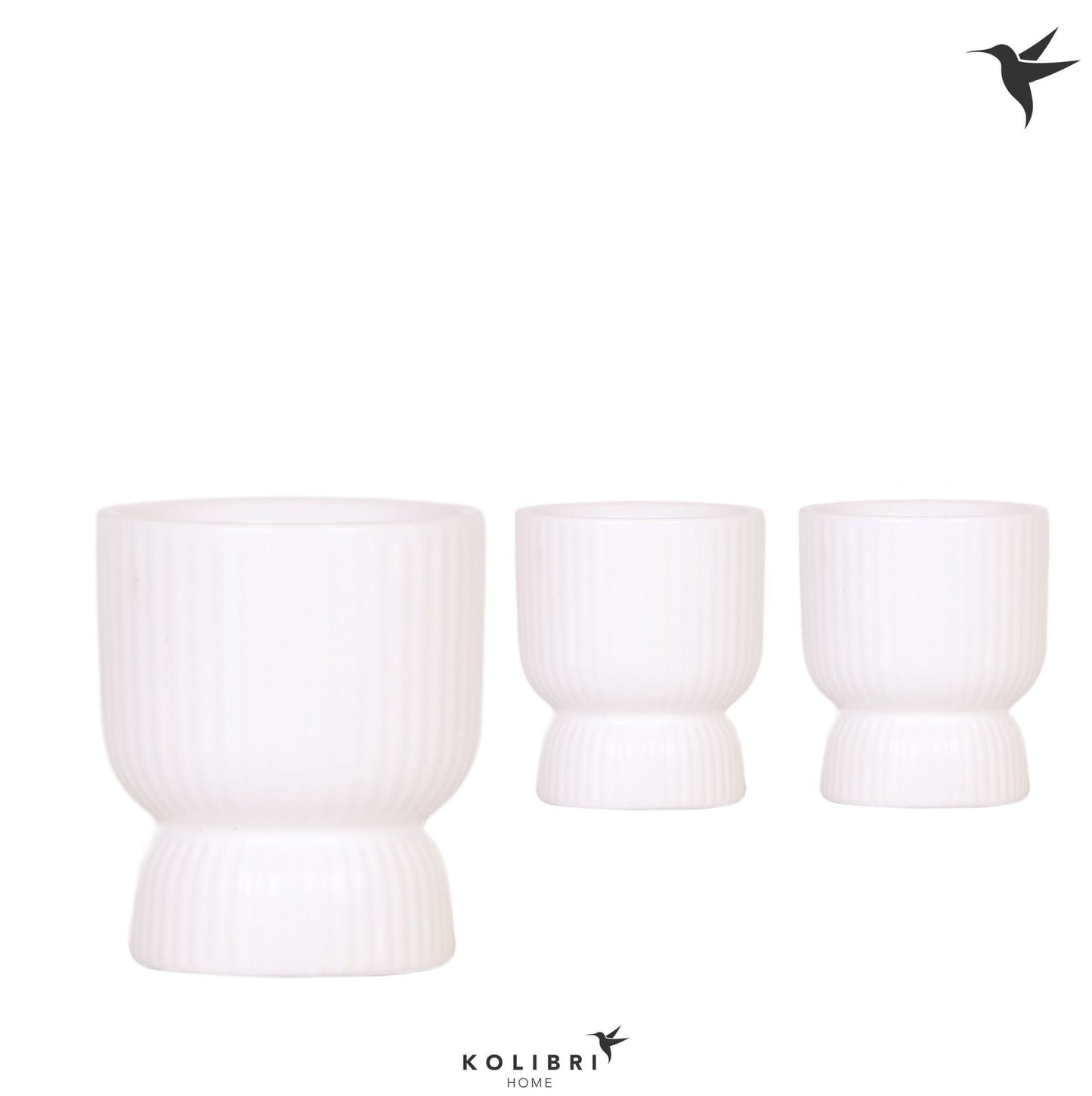 OK Plant Kolibri Home Diabolo pot white Pack of 12