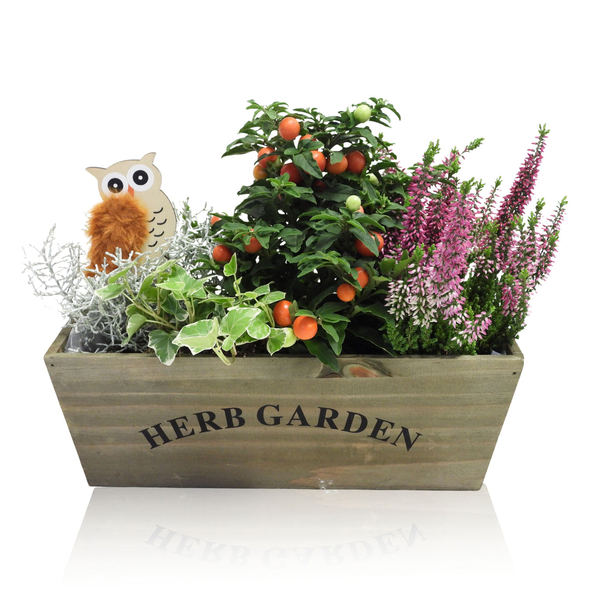 Outdoor arrangement 35cm 30cm Pot