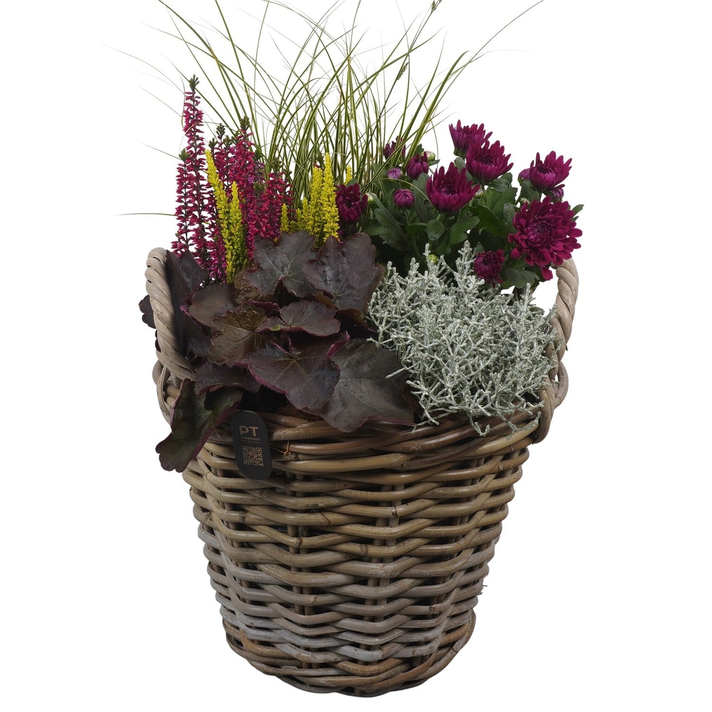 Outdoor arrangement 50cm 30cm Pot