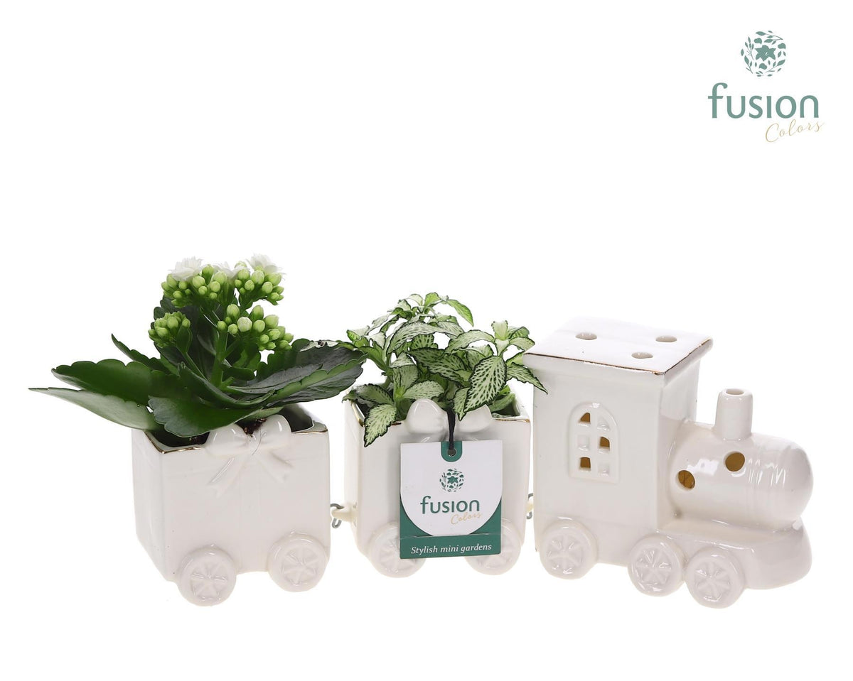 Keramiek Trein Medium met Arrangement 15cm 34cm Pot