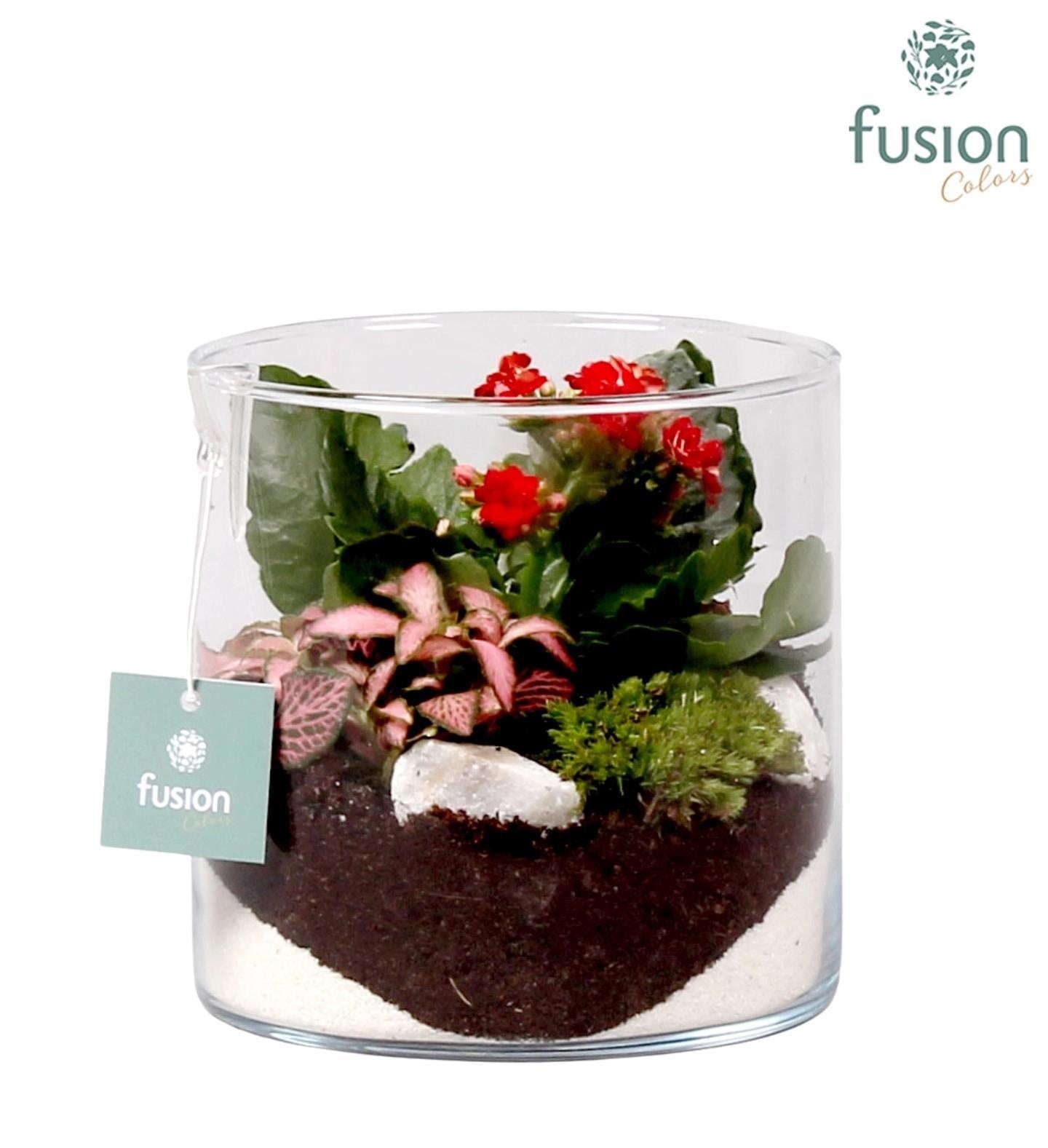 Glas cilinder met Arrangement D15 H15 2pp 15cm 15cm Pot