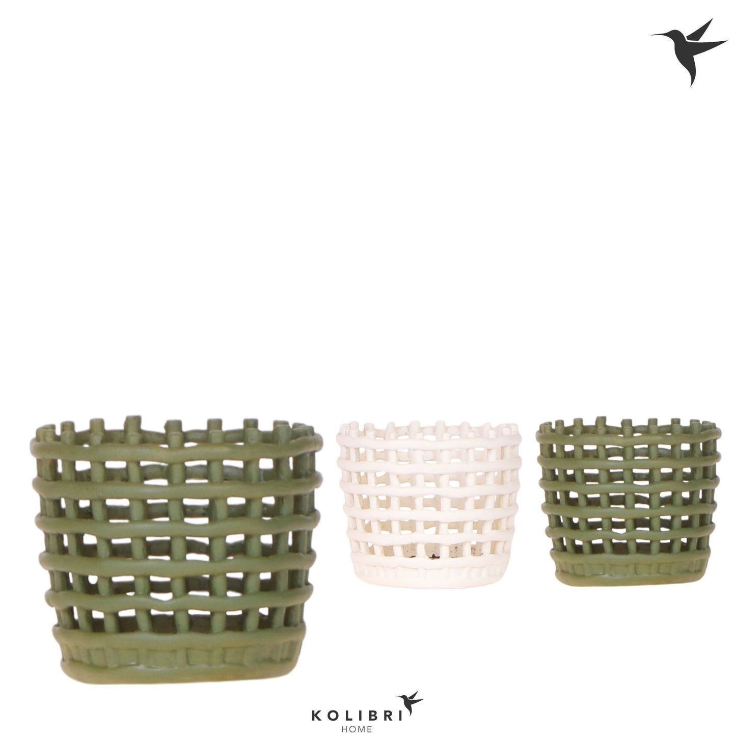 OK Plant Kolibri Home Mesh pot mix Pack of 12