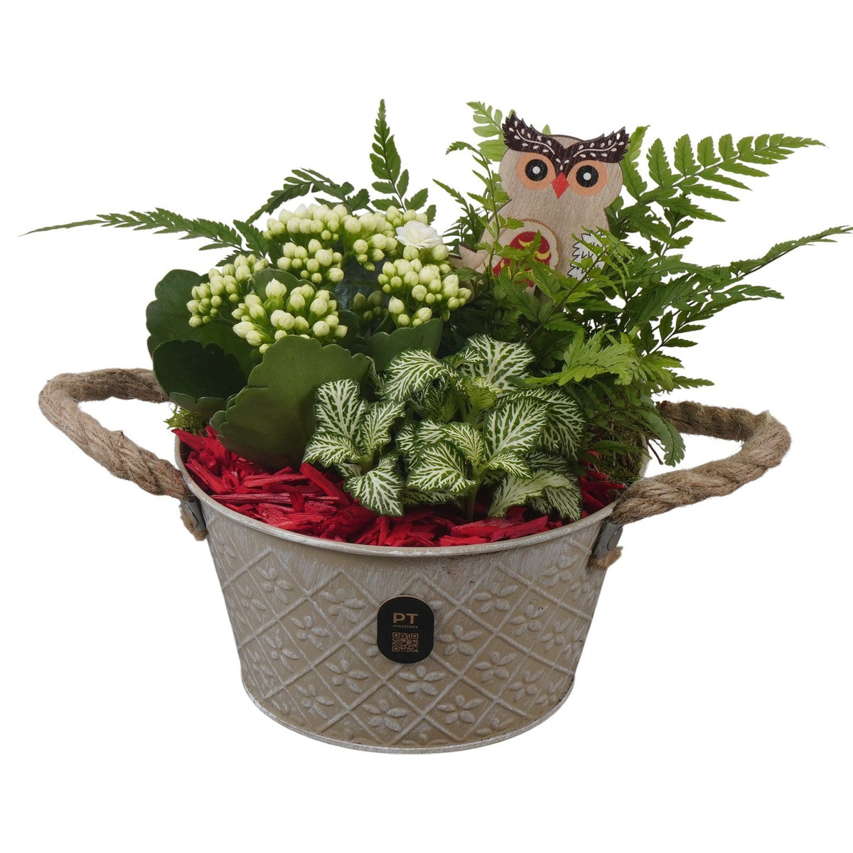 Indoor arrangement 20cm 17cm Pot