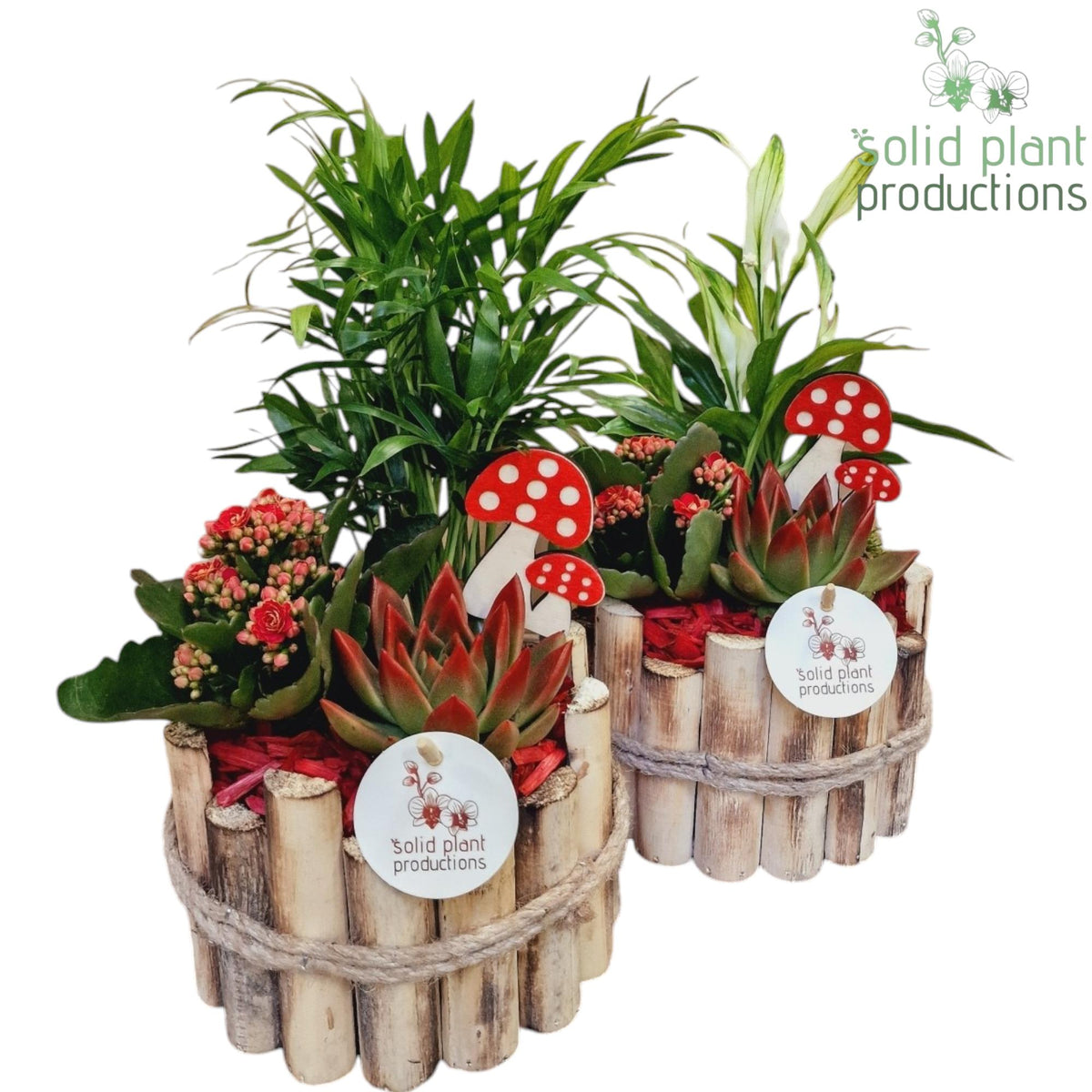 HSCE001 Milano Small Autumn Red 35cm 17cm Pot