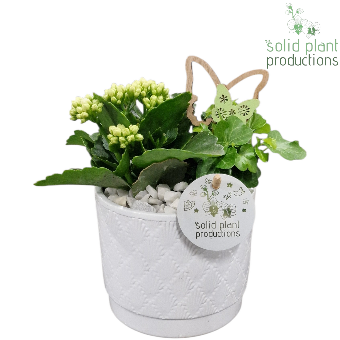 KH001 Ariël White 25cm 12cm Pot