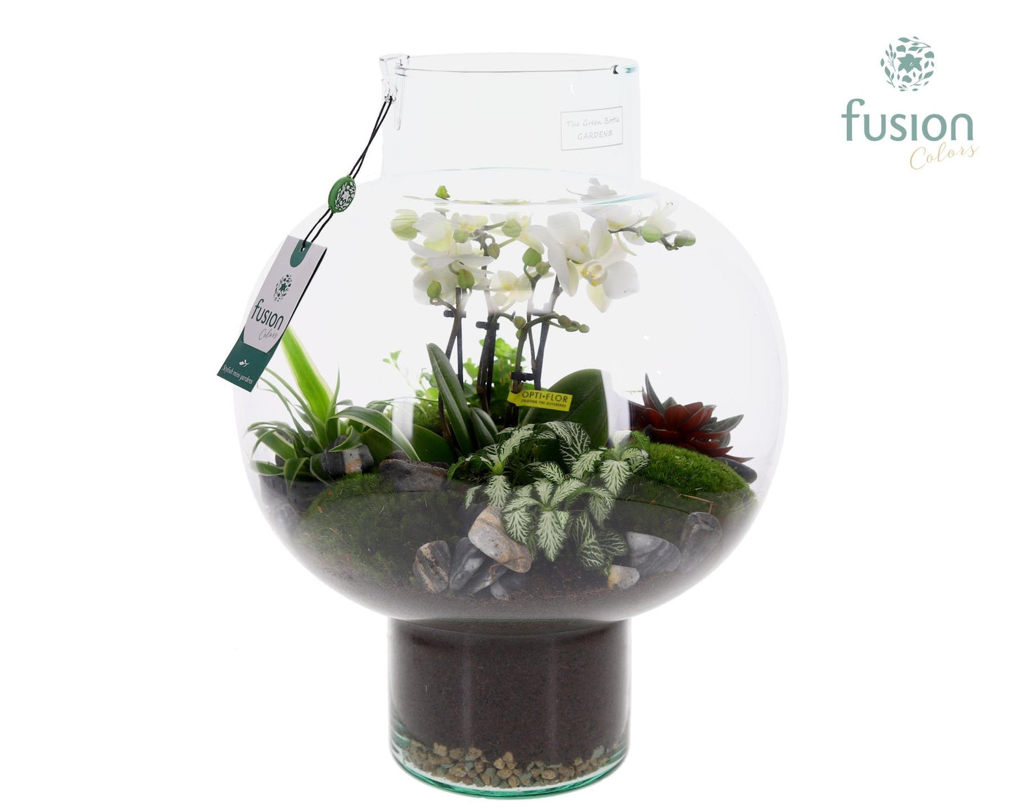 Green Bottle Laura Large met 4 tak Phalaenopsis arrangement 24 uurs levertijd 43cm 31cm Pot