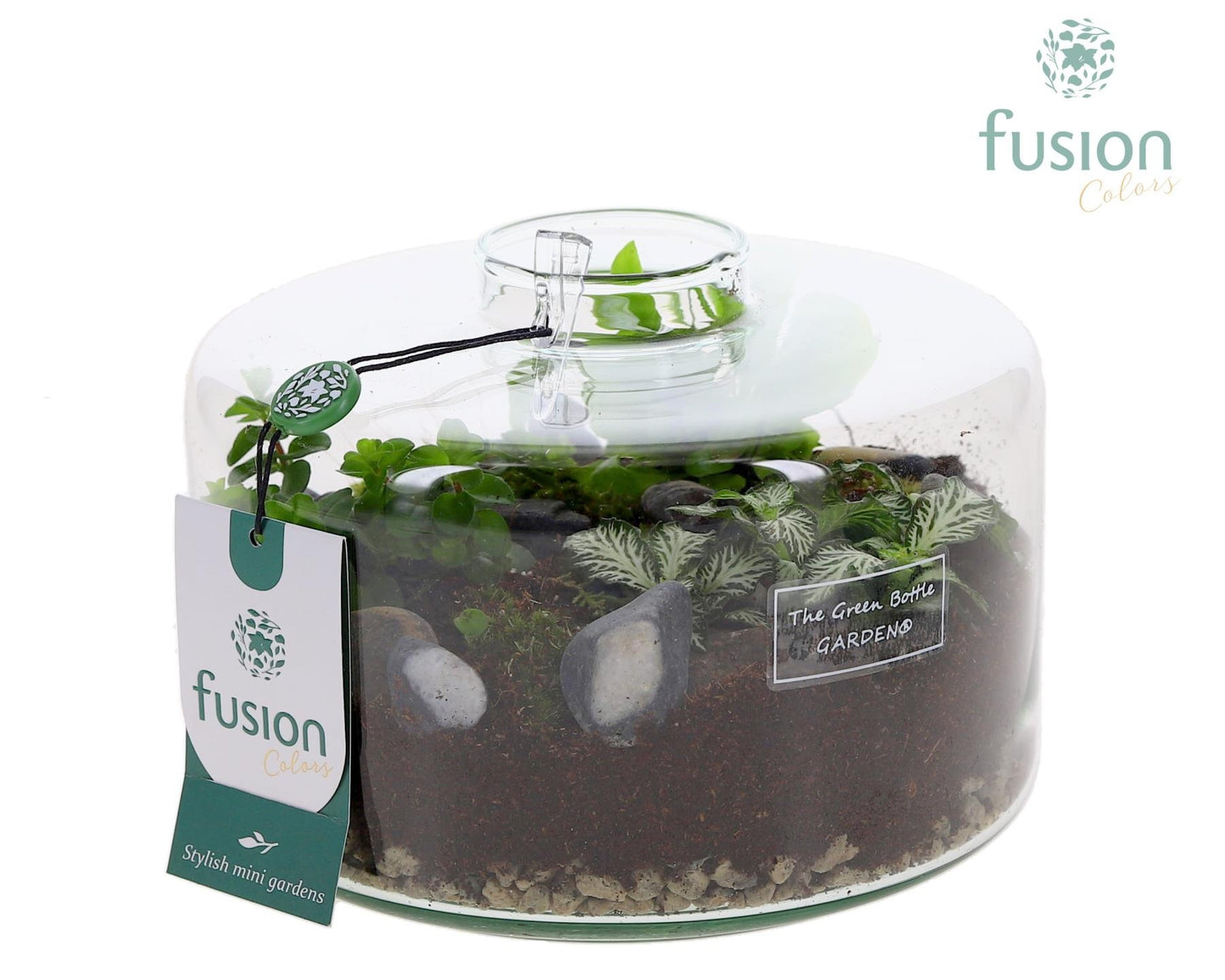 Green Bottle Kyra Medium met arrangement 15cm 19cm Pot