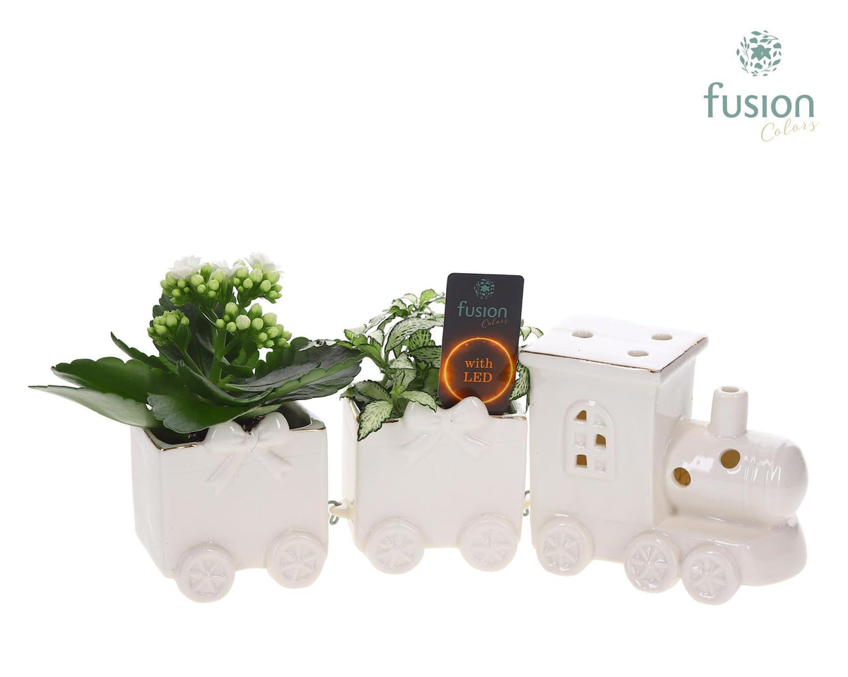 Keramiek LED Trein Medium met Arrangement 15cm 34cm Pot