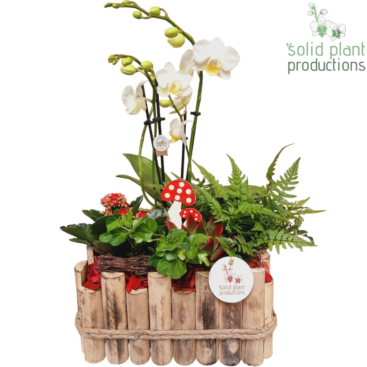 HPE008 Verona Large Autumn Red 45cm 30cm Pot
