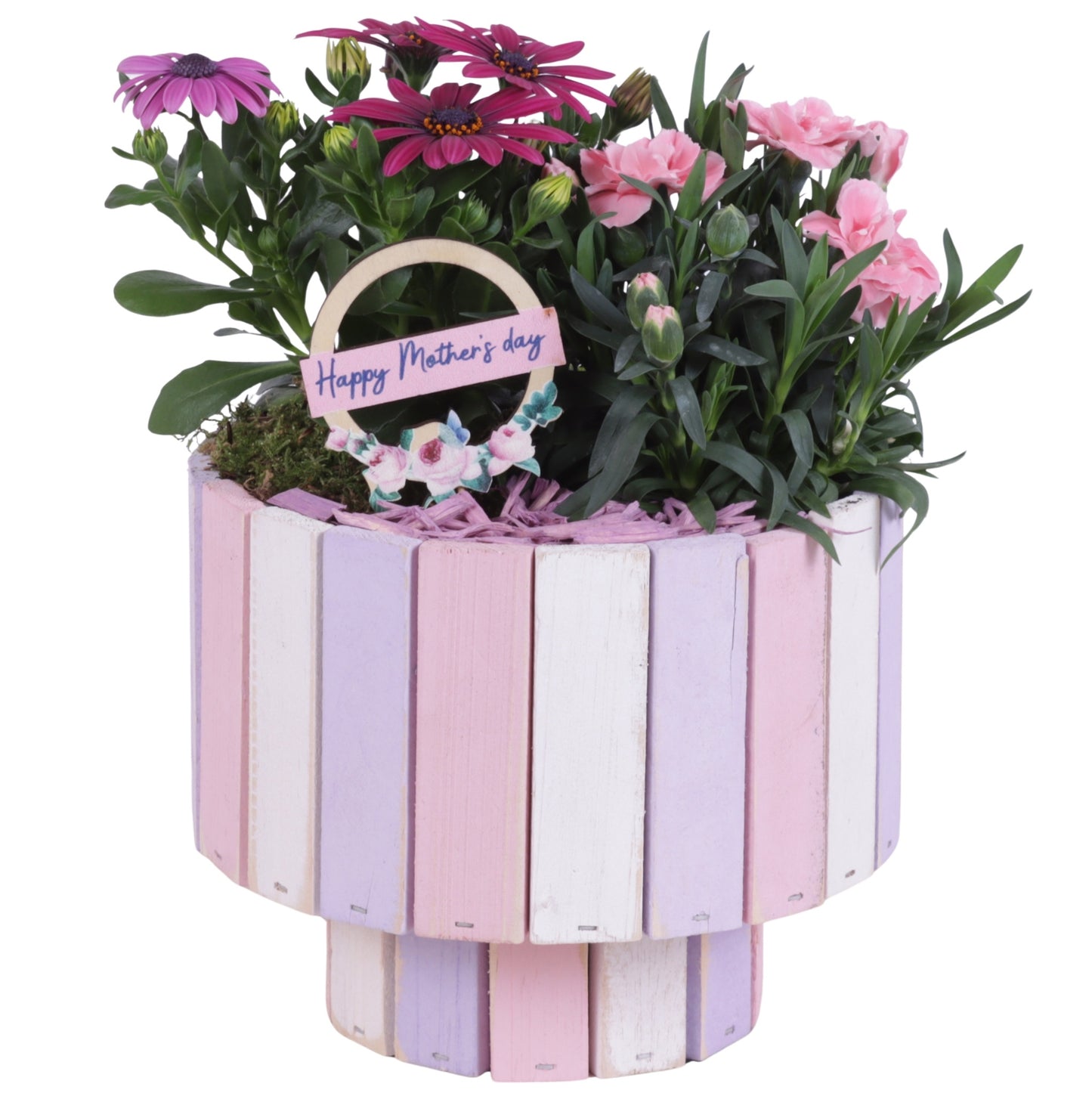 Outdoor arrangement 25cm 19cm Pot