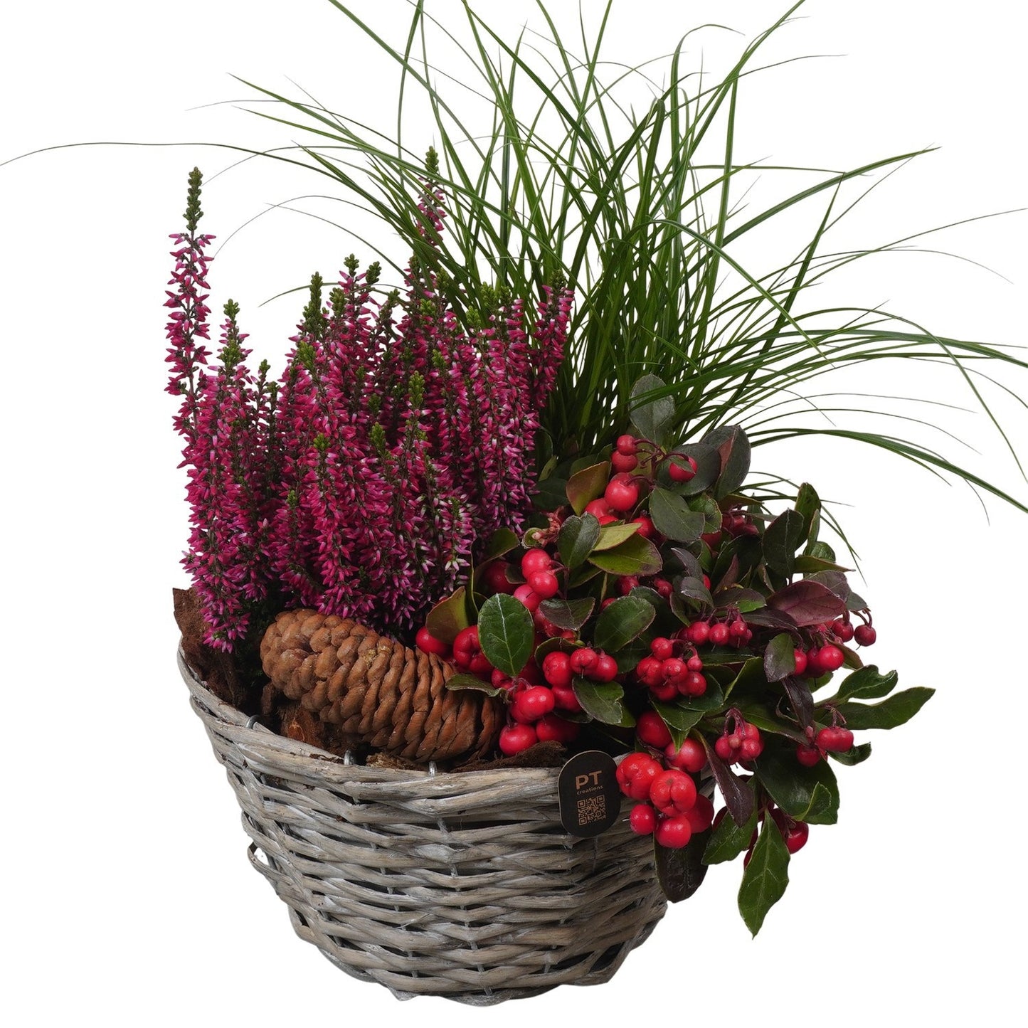 Outdoor arrangement 32cm 19cm Pot