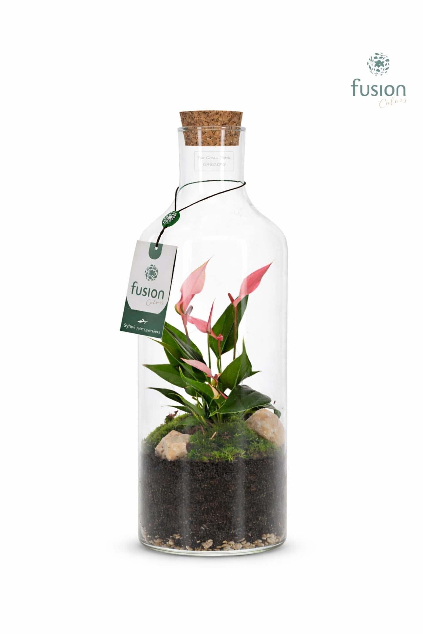 Green Bottle Fles Medium met Anthurium 43cm 15cm Pot