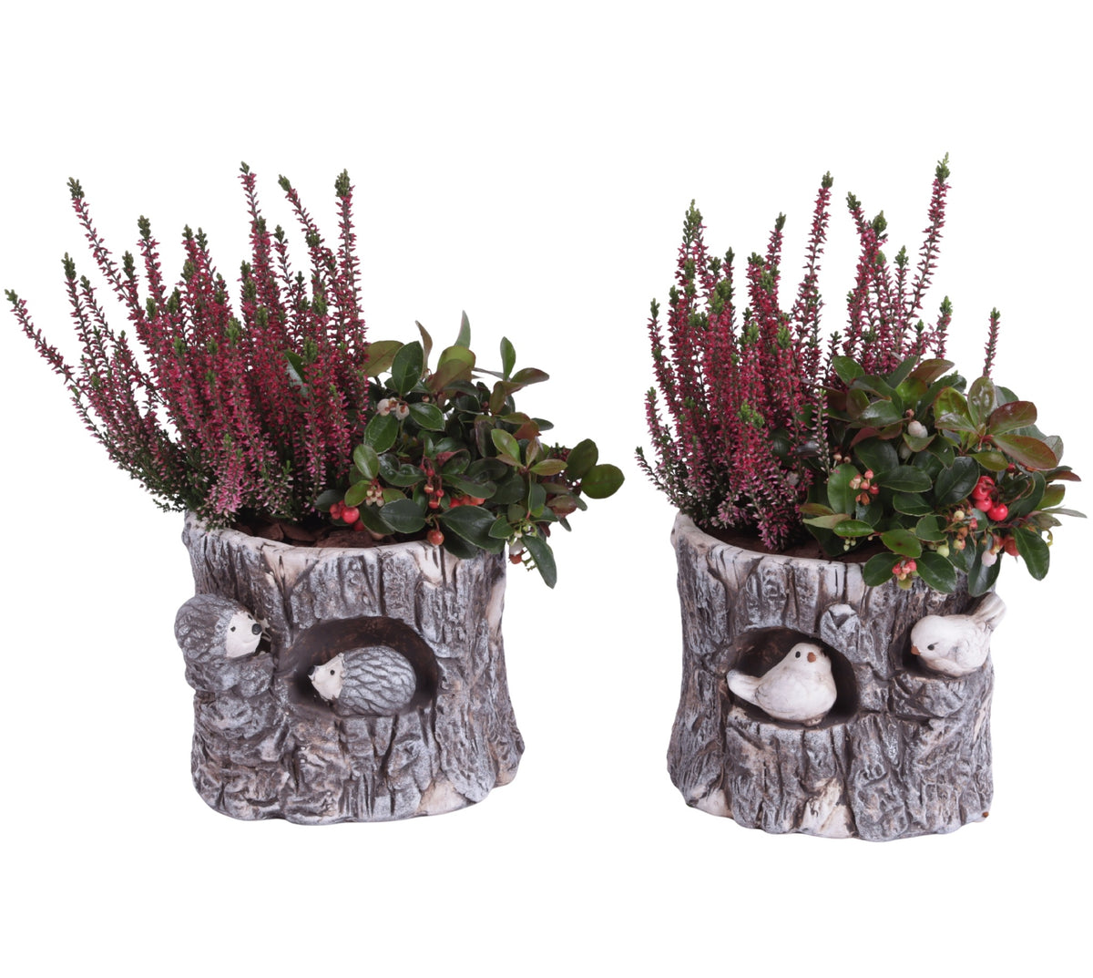 Outdoor arrangement 30cm 19cm Pot
