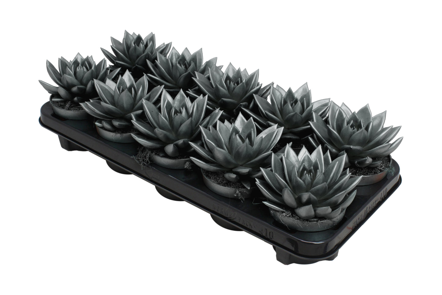 Miranda coloured metallic grey 13cm 510cm Pot