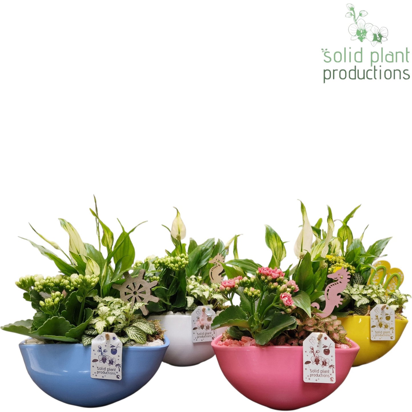 SP005 Evelyn Summer Mix 40cm 25cm Pot