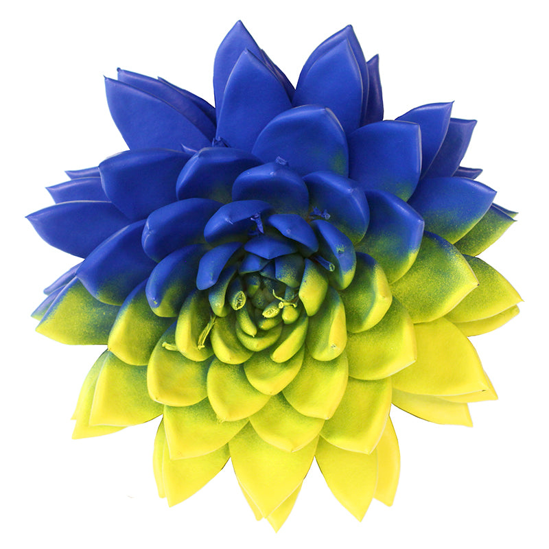 Miranda coloured flag Ukraine 15cm 12cm Pot